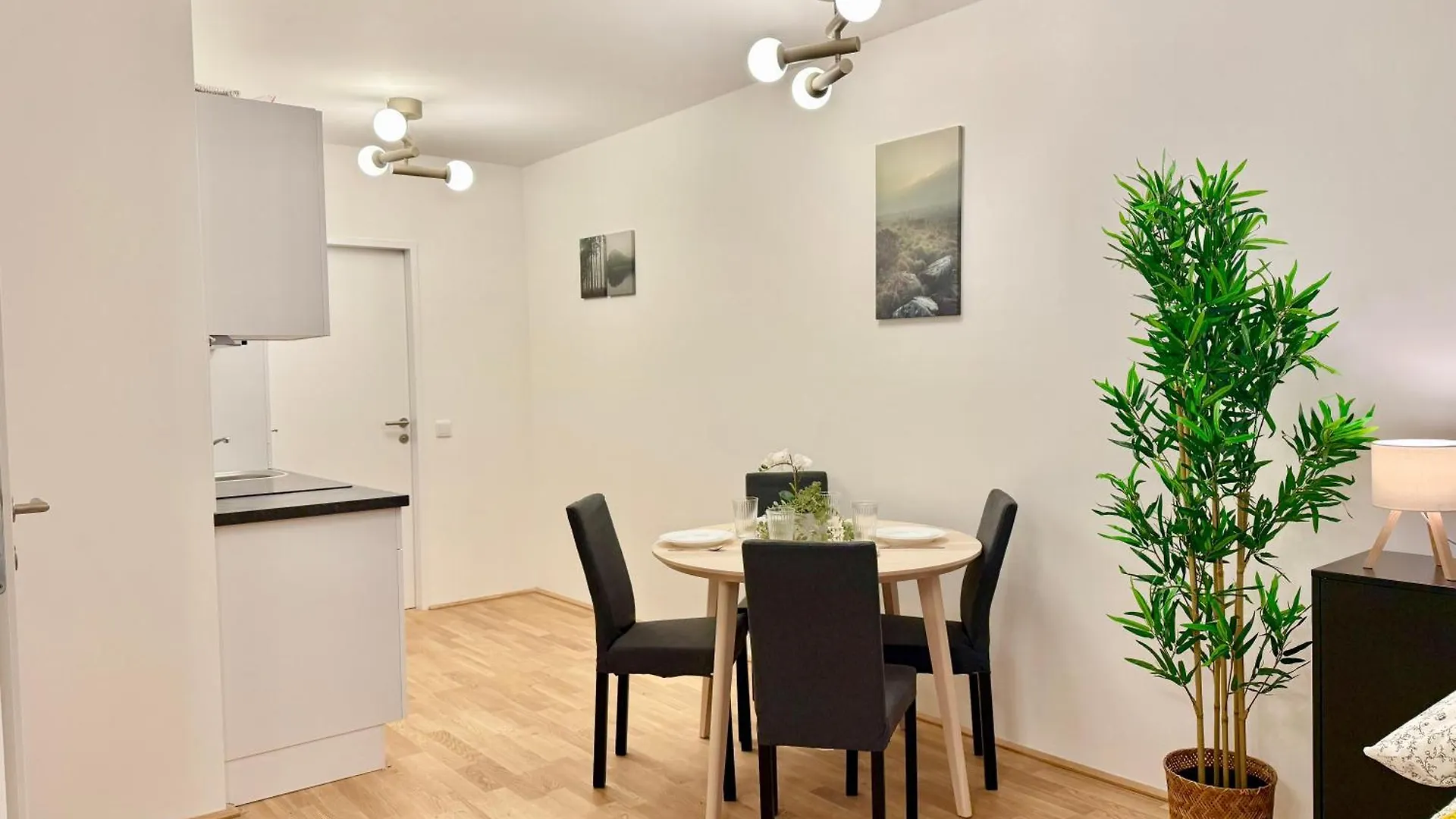 Central Modern Studio Apartment Vienna 0*,